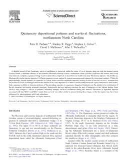 Quaternary depositional patterns and sea