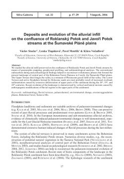 Deposits and evolution of the alluvial infill on the confluence of