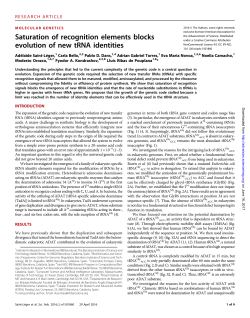 Saturation of recognition elements blocks evolution of new tRNA