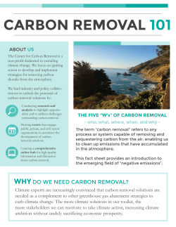 Carbon Removal 101