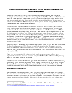 Understanding Mortality Rates of Laying Hens in Cage