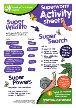 Superworm Super Wildlife