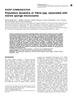 Population dynamics of Vibrio spp. associated with marine sponge