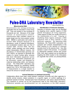 Mitochondrial DNA Mitochondria are energy