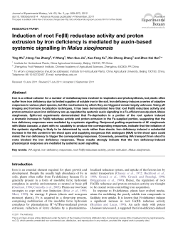 Induction of root Fe(lll) reductase activity and