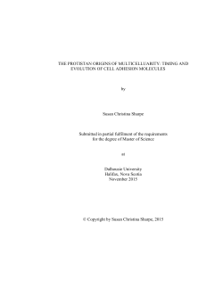 Sharpe-Susan-MSc-BCMO-November-2015