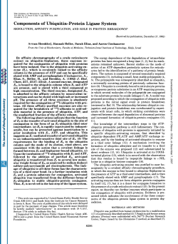 Components of Ubiquitin-Protein Ligase System