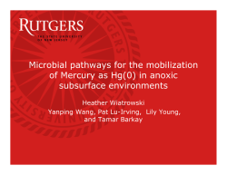 Microbial pathways for the mobilization of Mercury as Hg(0) in