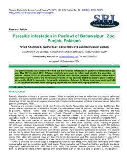 Parasitic infestation in Peafowl of Bahawalpur Zoo, Punjab, Pakistan
