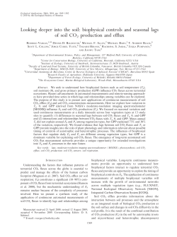 Looking deeper into the soil: biophysical controls and seasonal lags