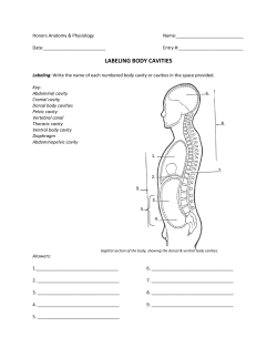 LABELING BODY CAVITIES