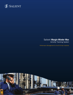 Salient Margin Minder Max - Salient Management Company