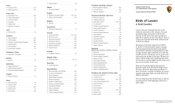 Lassen Bird List - Wintu Audubon Society