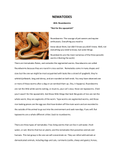 NEMATODES