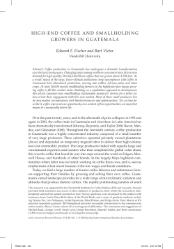 High-End Coffee and Smallholding Growers in Guatemala