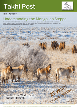 Understanding the Mongolian Steppe. - ITG International Takhi