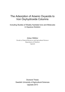 The Adsorption of Arsenic Oxyacids to Iron Oxyhydroxide Columns