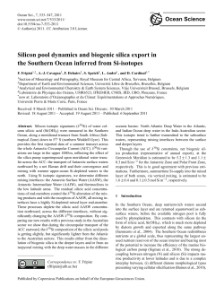 Silicon pool dynamics and biogenic silica export in