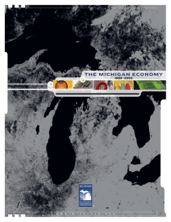 The Michigan Economy 1989-2002