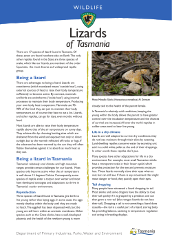 Lizards - Tasmania Parks and Wildlife Service