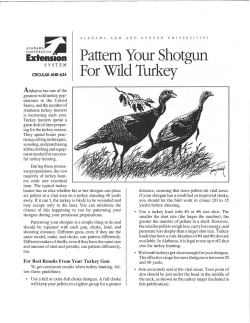 Pattern Your Shotgun For Wild Turkey