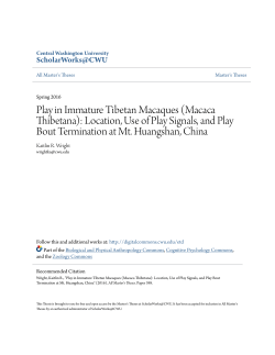 Play in Immature Tibetan Macaques (Macaca Thibetana): Location