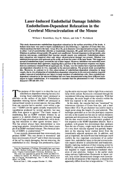 Laser-Induced Endothelial Damage Inhibits Endothelium