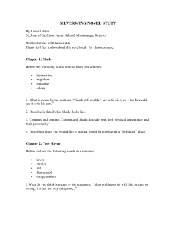 silverwing novel study