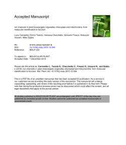 Ion channels in plant bioenergetic organelles chloroplast