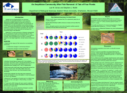 An Amphibian Community After Fish Removal: A Tale of Four