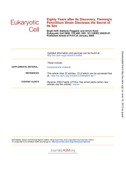 Eighty years after its discovery Fleming`s Penicillium strain discloses