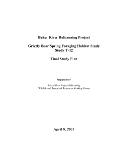 T12 - FINAL STUDY PLAN: Grizzly Bear Spring Foraging Habitat