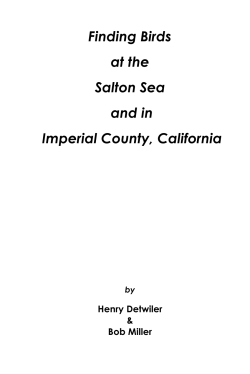 Finding Birds at the Salton Sea and in Imperial County, California