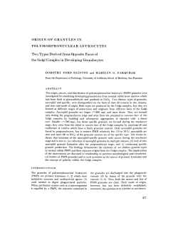 ORIGIN OF GRANULES IN