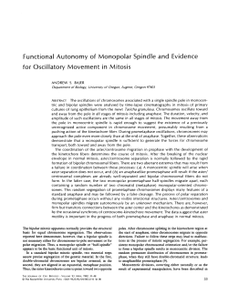 Functional Autonomy of Monopolar Spindle and