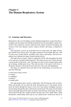 Sample pages 2 PDF