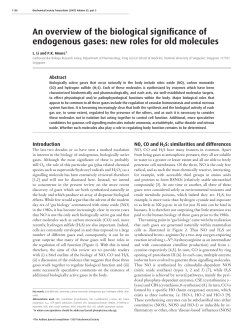 An overview of the biological significance of endogenous gases