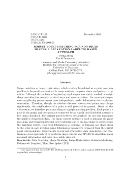 ROBUST POINT MATCHING FOR NON-RIGID SHAPES