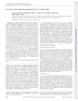D-Lactic acid-induced neurotoxicity in a calf model