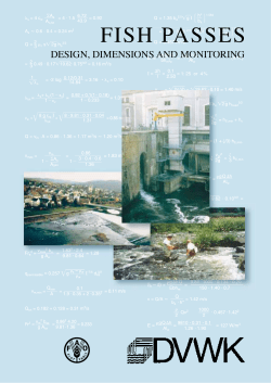 Fish Passes: design, dimensions and monitoring (2002) German