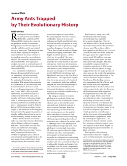 Army Ants Trapped by Their Evolutionary History