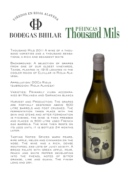 bodegas-bhilar-thousand