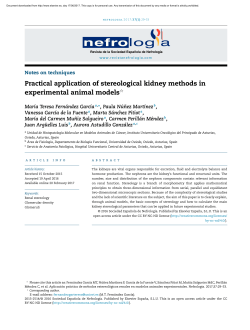 Practical application of stereological kidney methods in