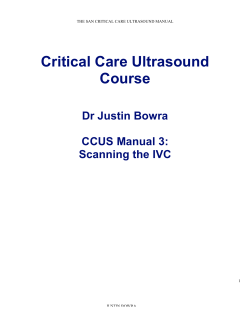Scanning the IVC