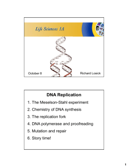DNA Replication