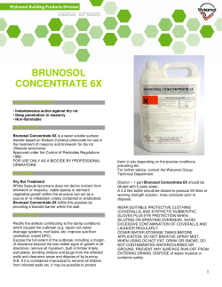 BRUNOSOL CONCENTRATE 6X