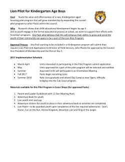 Lion Pilot for Kindergarten Age Boys