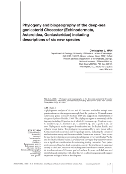 Phylogeny and biogeography of the deep