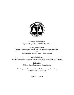 Written Statement of Cynthia Hujar Orr, NACDL President In