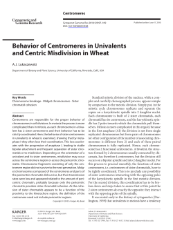 Behavior of Centromeres in Univalents and Centric Misdivision in